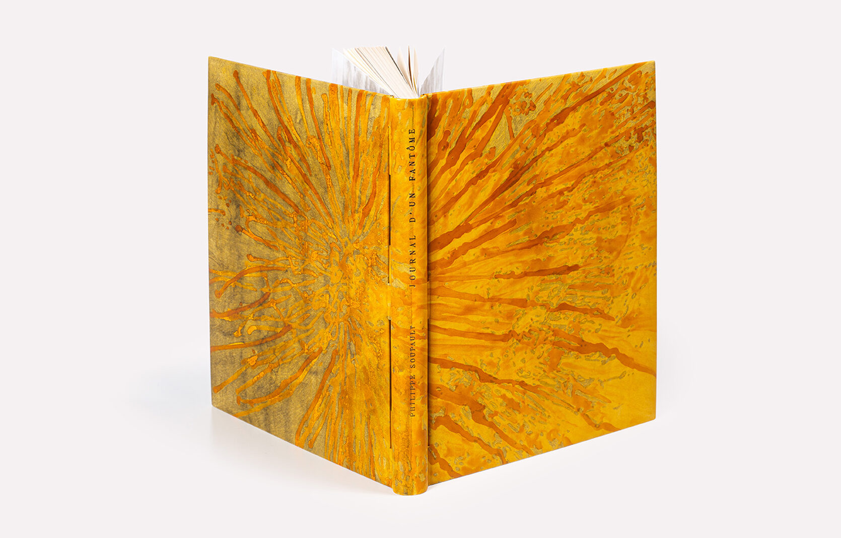 reliure-a-tiges, rod-binding, reliure-tige, reliure-charniere, reliure-piano, bookbinding, reliure, reliure-art, reliure-contemporaine, fine-binding, julie-auzillon, livres-rares