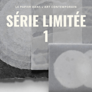 Le papier dans l'art... : série limitée 1