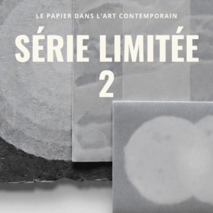 Le papier dans l'art... : série limitée 2