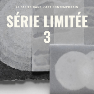 Le papier dans l'art... : série limitée 3